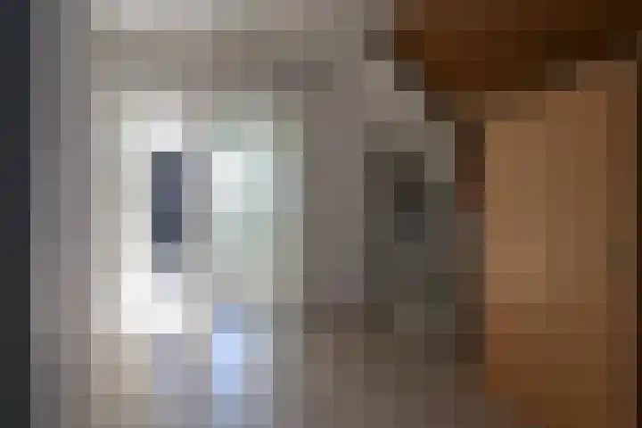 Harinxmastrjitte 52 Heeg thumbnail 31