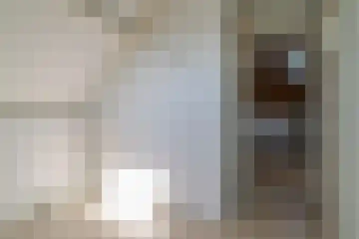 Harinxmastrjitte 52 Heeg thumbnail 33