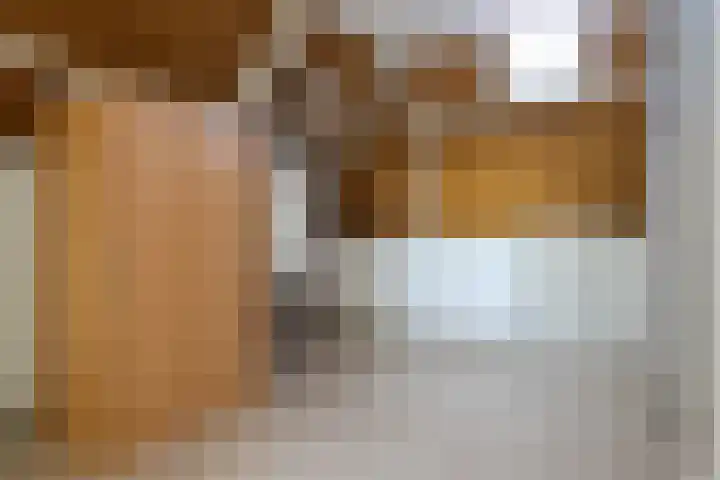Harinxmastrjitte 52 Heeg thumbnail 37