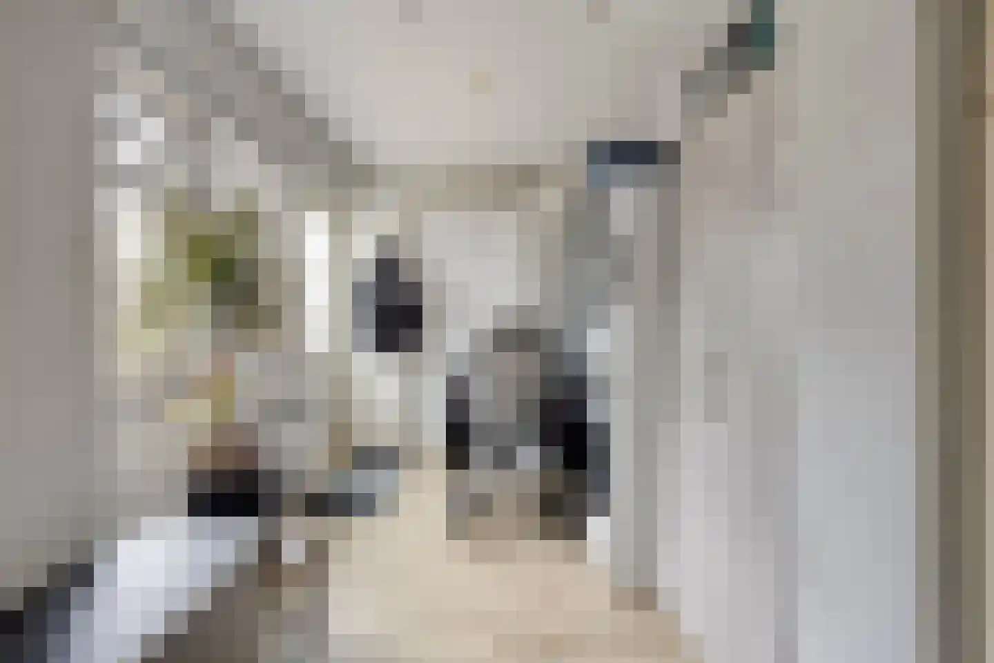 Harinxmastrjitte 52 Heeg thumbnail 39