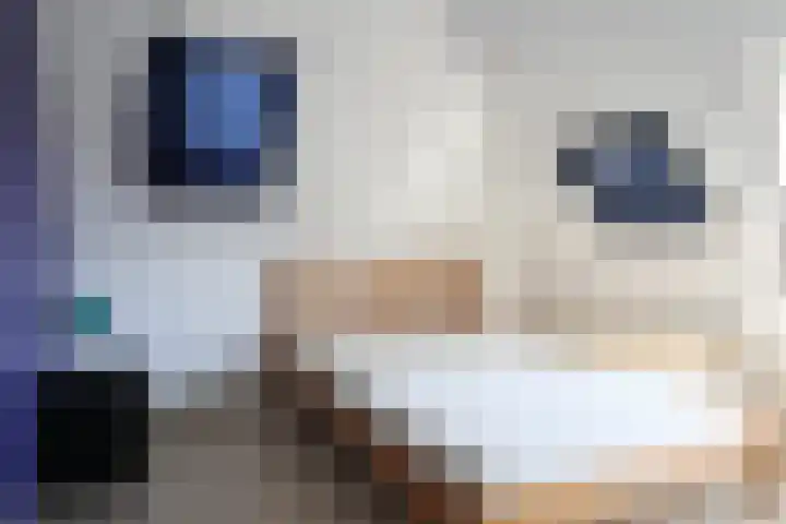 Harinxmastrjitte 52 Heeg thumbnail 40