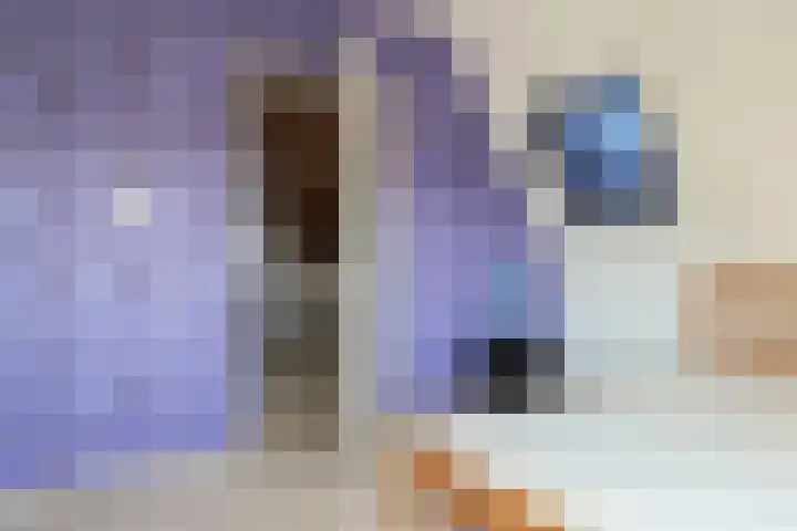 Harinxmastrjitte 52 Heeg thumbnail 42