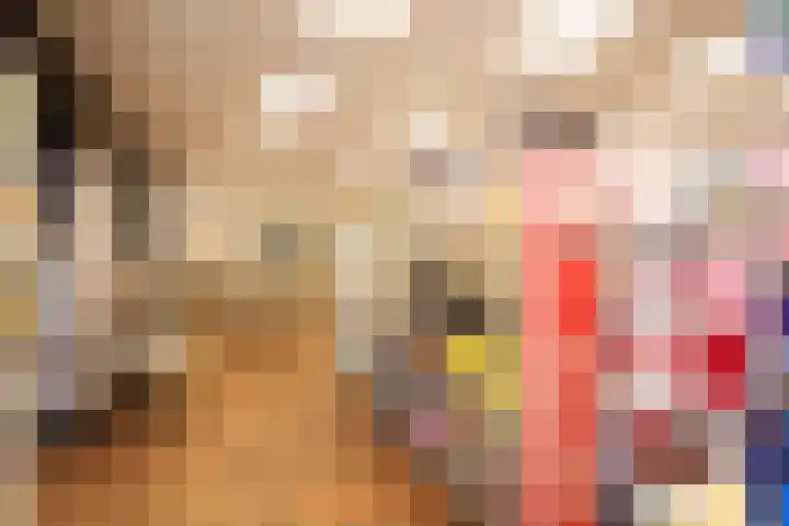Harinxmastrjitte 52 Heeg thumbnail 45