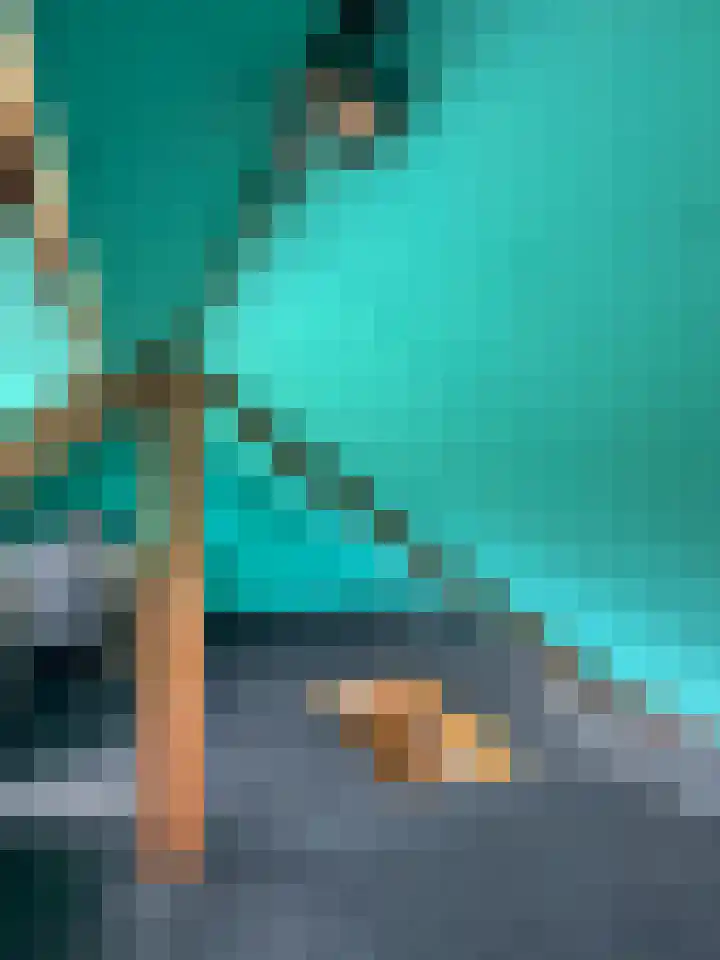 Harinxmastrjitte 52 Heeg thumbnail 46