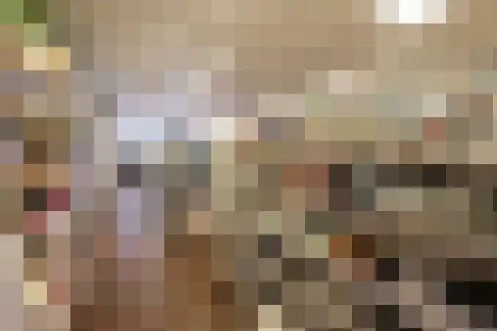 Harinxmastrjitte 52 Heeg thumbnail 48