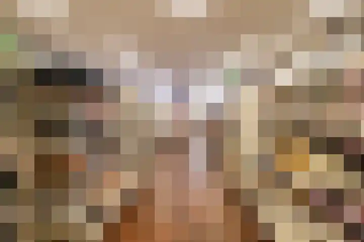Harinxmastrjitte 52 Heeg thumbnail 49