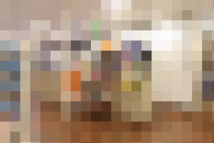 Harinxmastrjitte 52 Heeg thumbnail 50