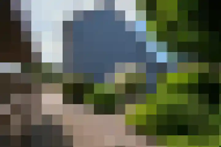 Harles 21 a Vijlen thumbnail 18