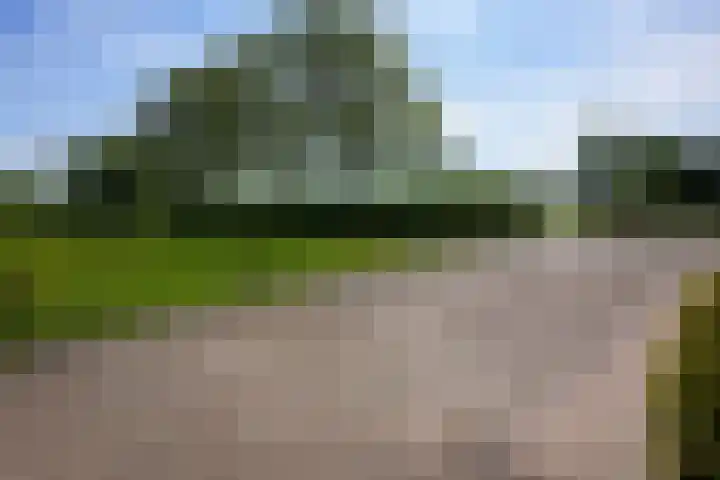 Harles 21 a Vijlen thumbnail 22