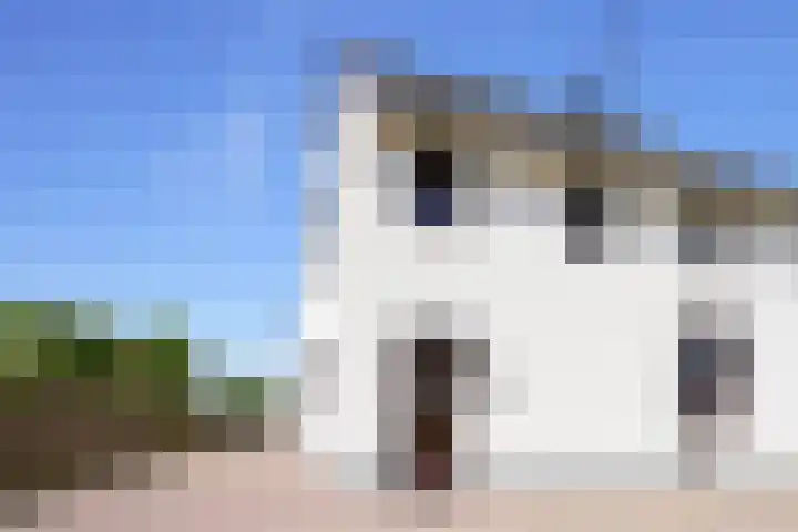 Harles 21 Vijlen