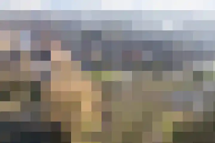 Harlingerweg 13 Franeker thumbnail 81