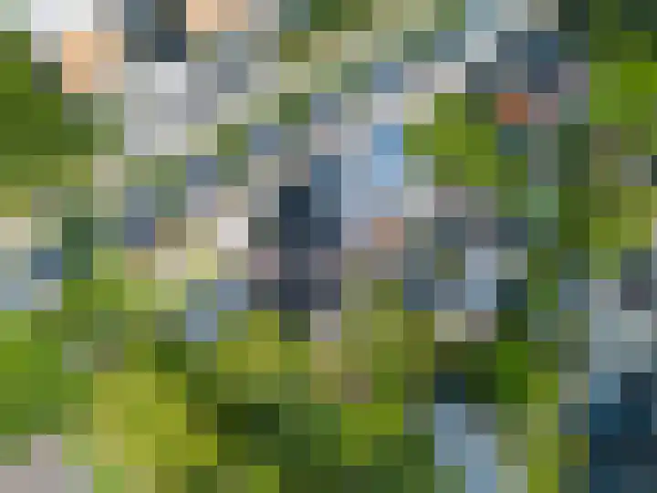 Harlingerweg 41 Franeker thumbnail 10