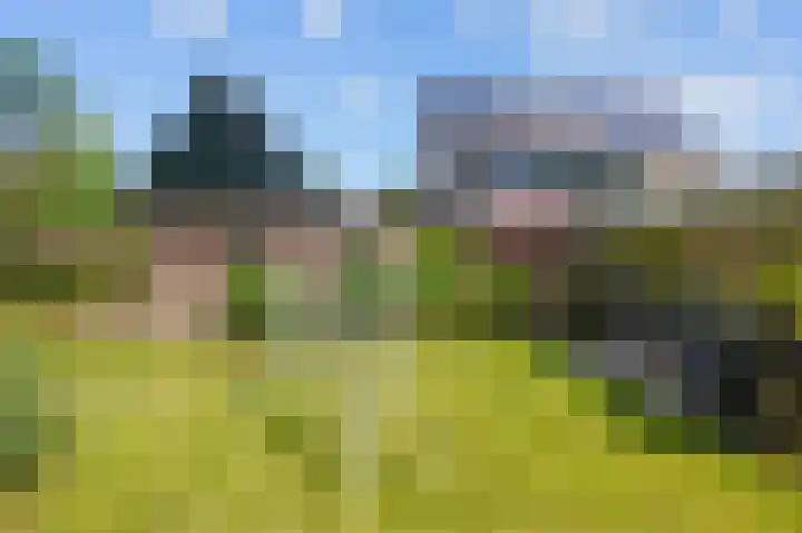 Harlingerweg 41 Franeker thumbnail 36