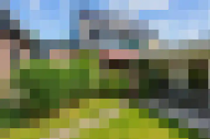 Harlingerweg 41 Franeker thumbnail 5