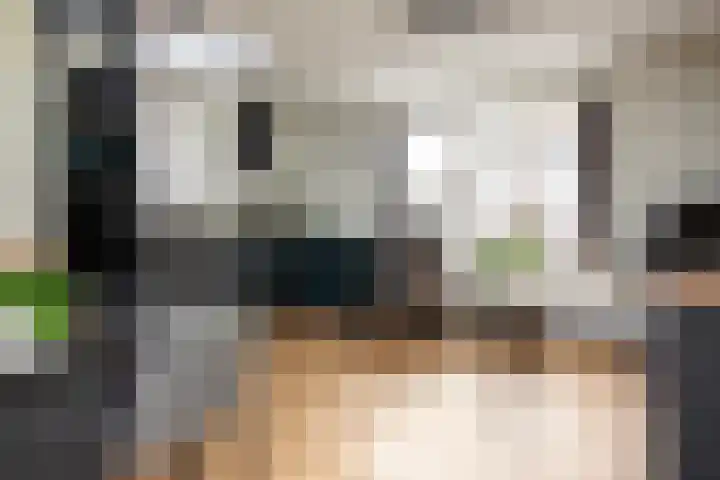 Harmenjansweg 14 Haarlem thumbnail 17