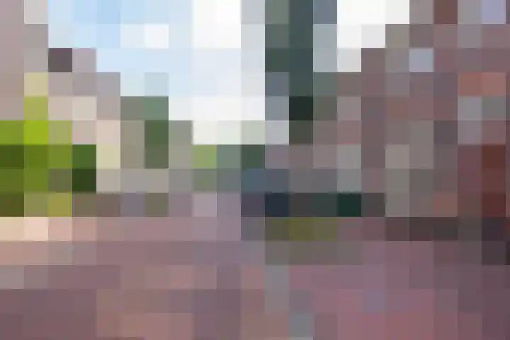 Harmenjansweg 14 Haarlem thumbnail 28