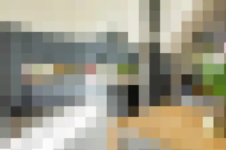 Harmenjansweg 14 Haarlem thumbnail 8