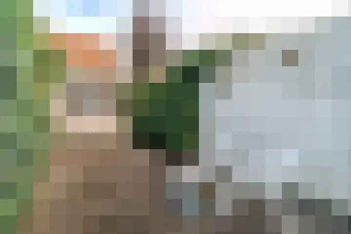 Harmenkokslaan 82 Delft thumbnail 18