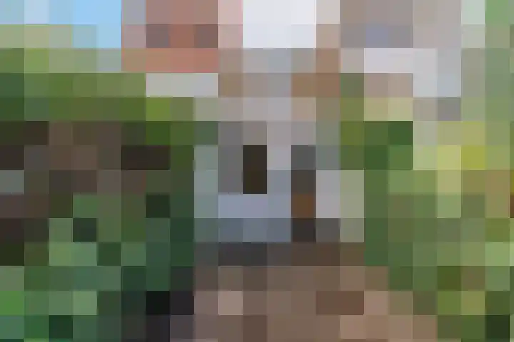 Harmenkokslaan 82 Delft thumbnail 22