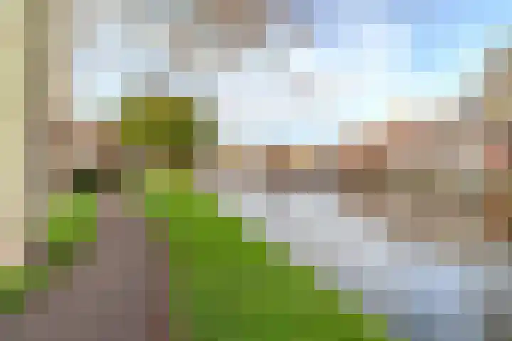 Harmenkokslaan 82 Delft thumbnail 38