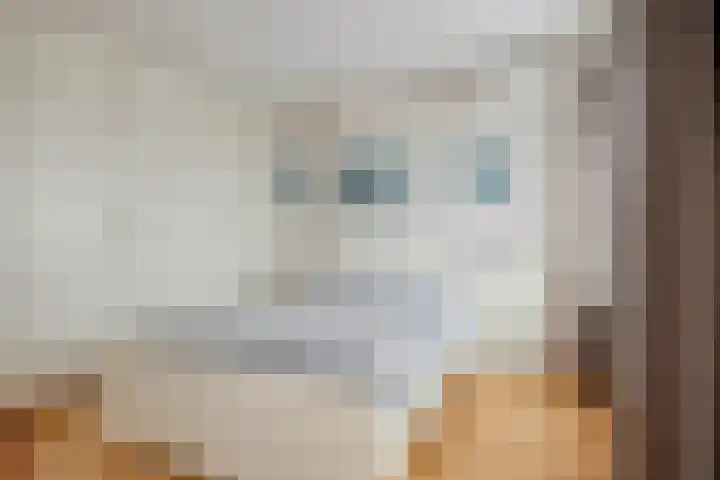 Harmonieweg 7 Gronsveld thumbnail 19