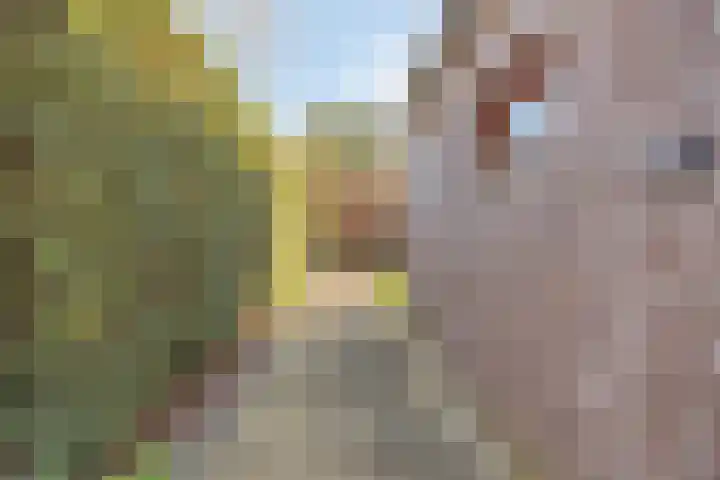 Harmonieweg 7 Gronsveld thumbnail 36