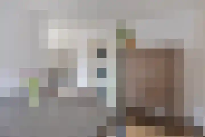 Harnas 17 Oss thumbnail 11