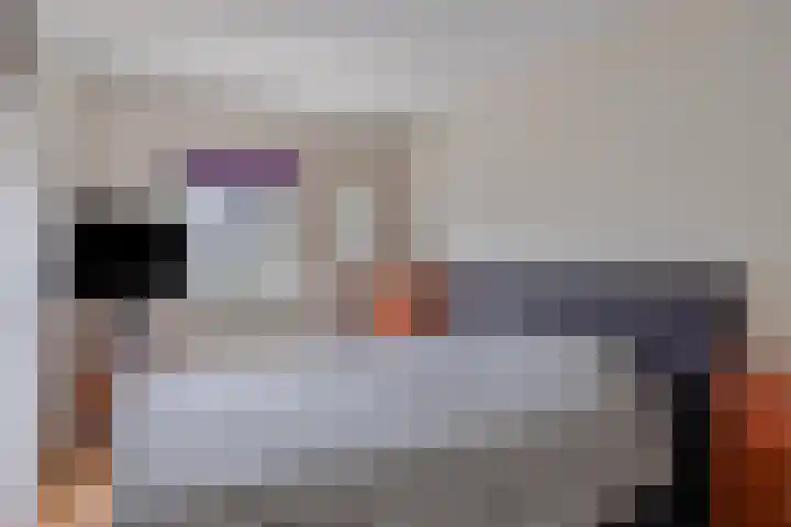 Harnas 17 Oss thumbnail 15