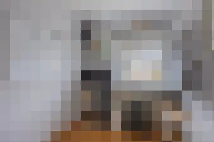 Harnas 17 Oss thumbnail 18