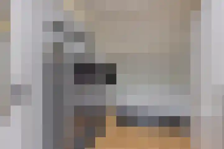 Harnas 17 Oss thumbnail 21