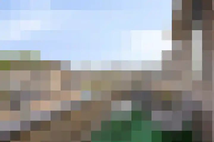Harnas 17 Oss thumbnail 24