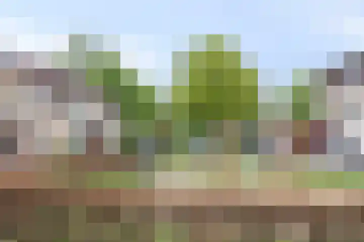 Harnas 17 Oss thumbnail 33