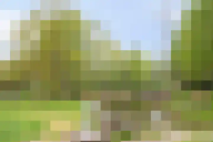 Harnas 17 Oss thumbnail 34