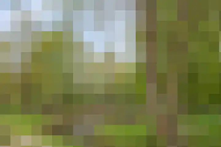 Harnas 17 Oss thumbnail 35