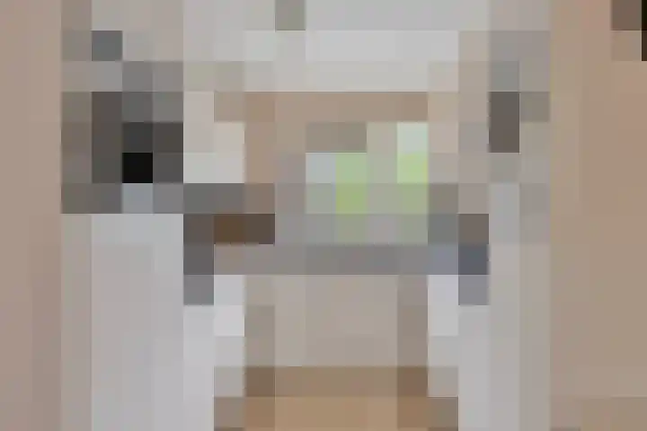 Harnas 17 Oss thumbnail 8