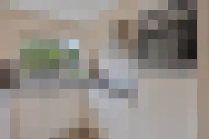 Harnas 17 Oss thumbnail 9