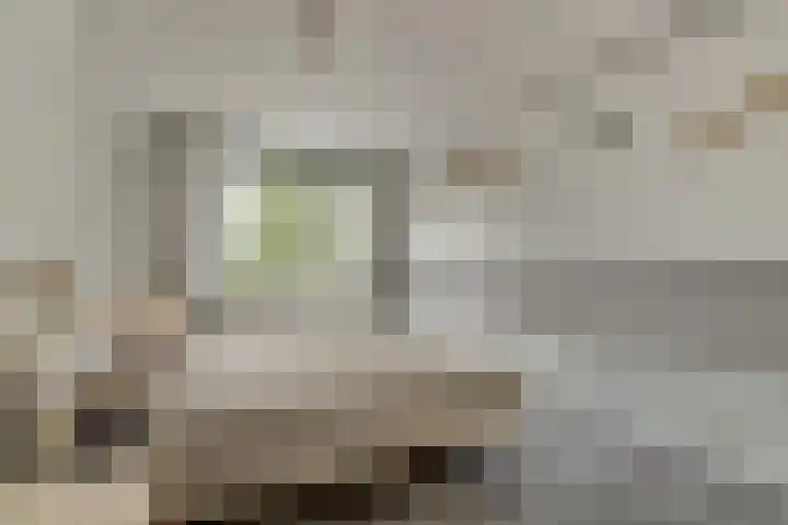 Harp 14 De Lier thumbnail 20