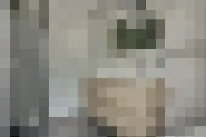 Harp 14 De Lier thumbnail 22