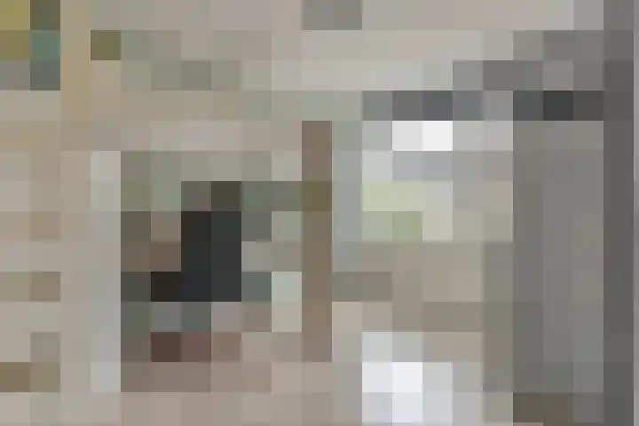 Harp 14 De Lier thumbnail 24