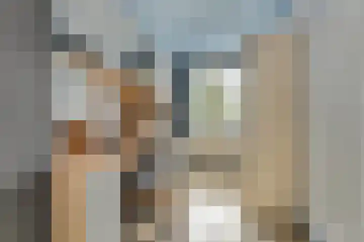 Harp 14 De Lier thumbnail 27