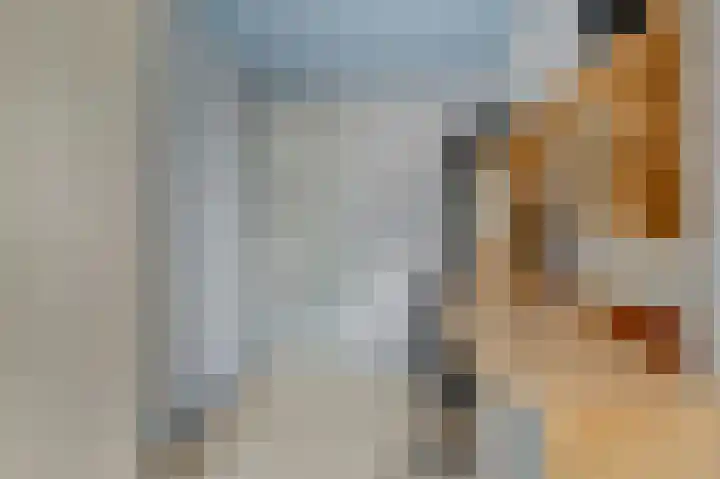 Harp 14 De Lier thumbnail 28