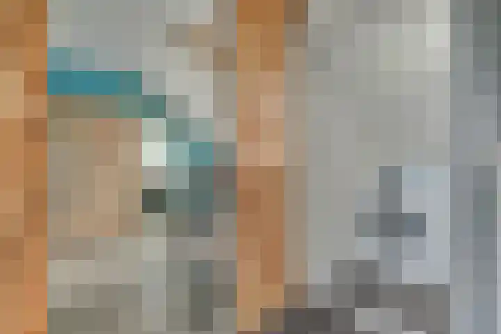 Harp 14 De Lier thumbnail 34