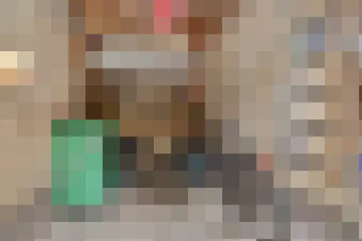Harp 14 De Lier thumbnail 36