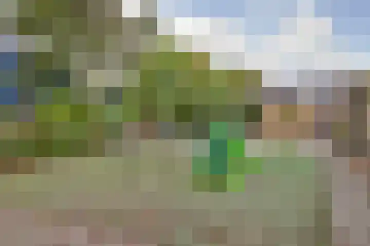 Harp 14 De Lier thumbnail 41