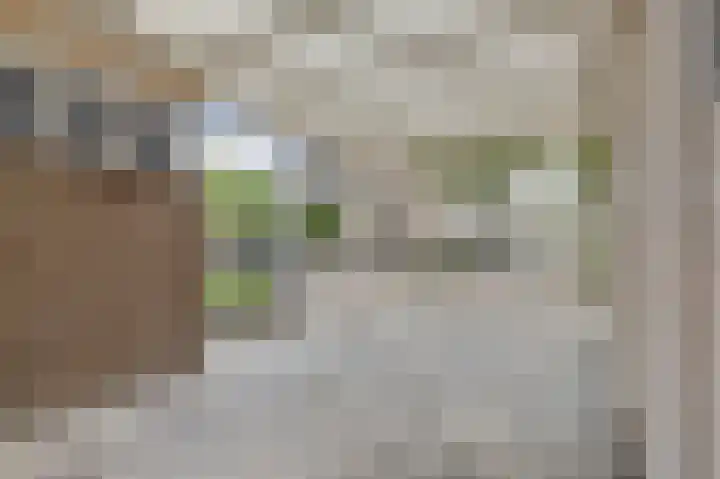 Harp 14 De Lier thumbnail 8