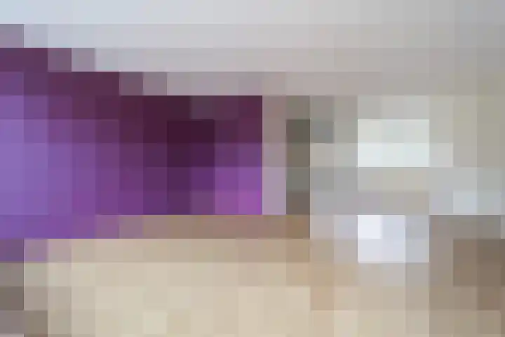 Harp 22 Ewijk thumbnail 10