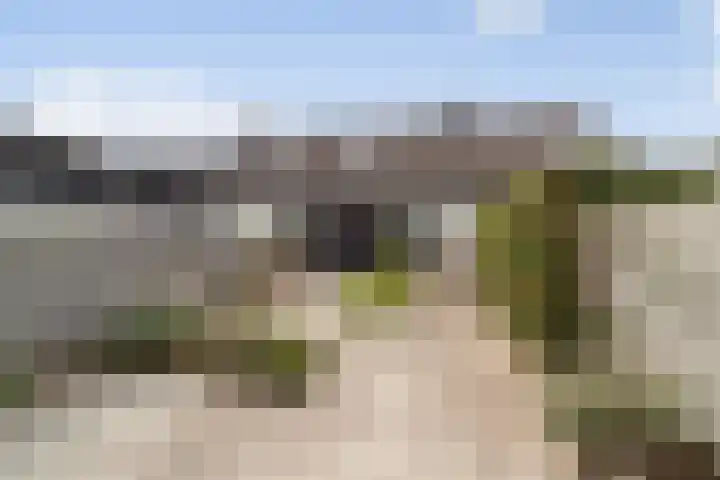 Harp 22 Ewijk thumbnail 6
