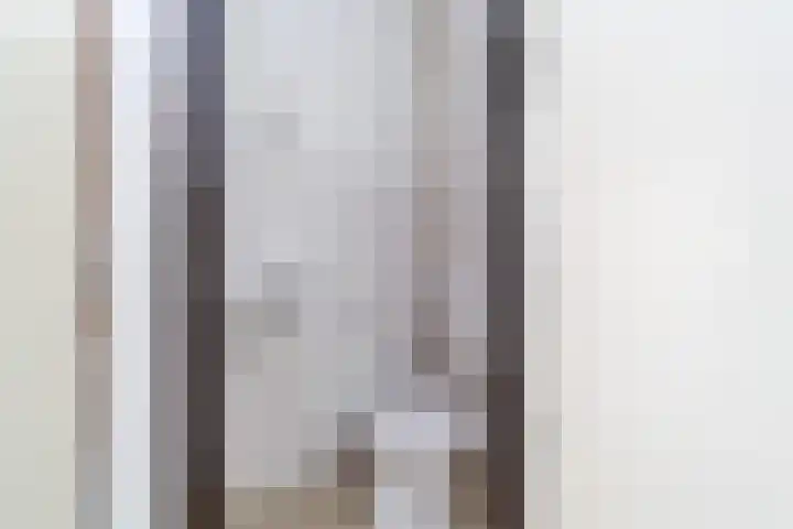 Harp 22 Ewijk thumbnail 8