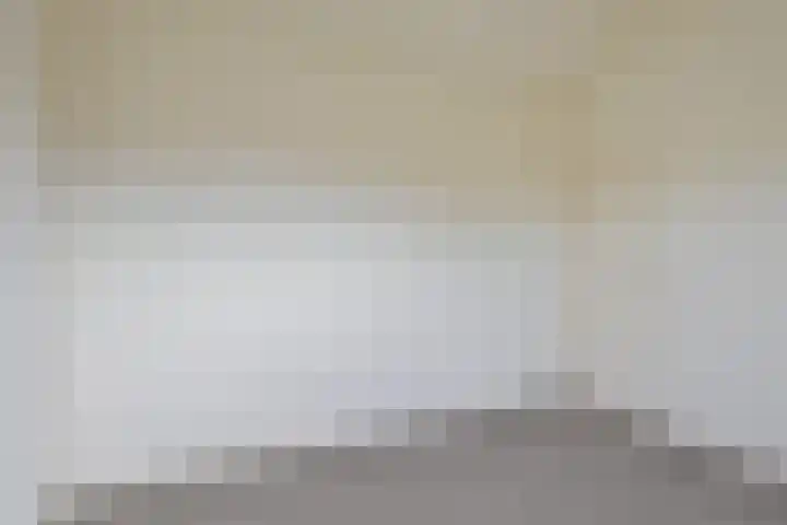 Harp 31 Ewijk thumbnail 11