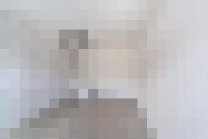 Harp 31 Ewijk thumbnail 20